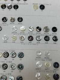 SLG8 BOTONES DAIYA Botones De Poliéster Con Concha[Botón] DAIYA BUTTON(DAIYA BUTTON) Subfoto