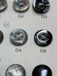 SU105 BOTONES DAIYA Botones De Poliéster Con Concha[Botón] DAIYA BUTTON(DAIYA BUTTON) Subfoto