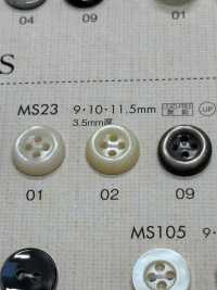 MS23 BOTONES DAIYA Botones De Poliéster Con Concha[Botón] DAIYA BUTTON(DAIYA BUTTON) Subfoto