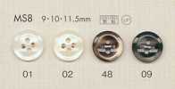 MS8 DAIYA BUTTONS Botones de poliéster estilo concha