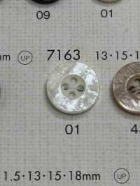 7163 BOTONES DAIYA Botón De Poliéster Tipo Concha DAIYA BUTTON(DAIYA BUTTON) Subfoto