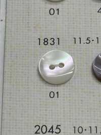 1831 BOTONES DAIYA Botones De Poliéster Con Concha[Botón] DAIYA BUTTON(DAIYA BUTTON) Subfoto