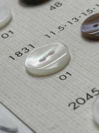 1831 BOTONES DAIYA Botones De Poliéster Con Concha[Botón] DAIYA BUTTON(DAIYA BUTTON) Subfoto