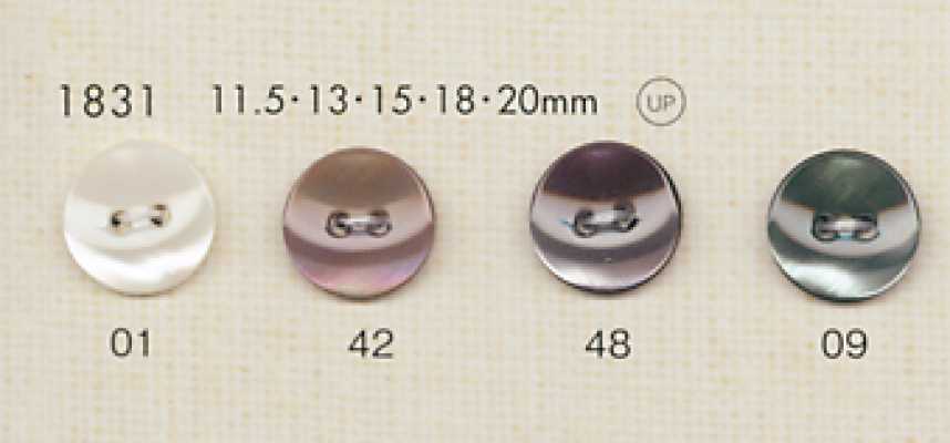 DAIYA BUTTONS Botones de poliéster estilo concha