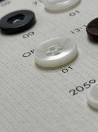 OPH331 BOTONES DAIYA Botón De Poliéster Tipo Concha DAIYA BUTTON(DAIYA BUTTON) Subfoto