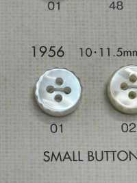 1956 BOTONES DAIYA Botón De Poliéster Tipo Concha DAIYA BUTTON(DAIYA BUTTON) Subfoto