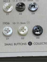 1956 BOTONES DAIYA Botón De Poliéster Tipo Concha DAIYA BUTTON(DAIYA BUTTON) Subfoto