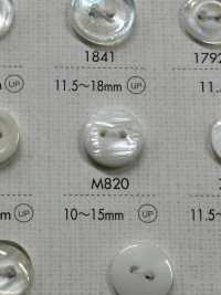 M820 BOTONES DAIYA Botones De Poliéster De Dos Agujeros[Botón] DAIYA BUTTON(DAIYA BUTTON) Subfoto