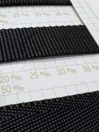 HP36000BB HP36000 BB Cinturón De Polipropileno Grueso De 1,7 Mm[Cordón De Cinta De Cinta] Sin Nombre Subfoto