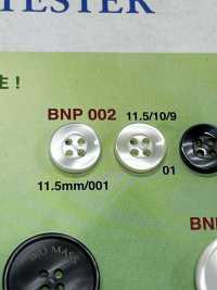 BNP-002 Botón De Biopoliéster De 4 Orificios IRIS Foto secundaria