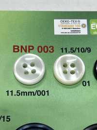 BNP-003 Botón De Biopoliéster De 4 Orificios IRIS Foto secundaria