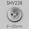SHV238 Botón de concha de cuatro agujeros