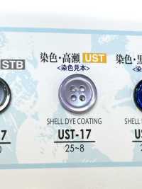 UST-17 Material Natural Shell Shell Shell Botón De Shell De 4 Orificios IRIS Foto secundaria