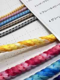 GD4-RM Cordón De Gradación 4.6MM[Cordón De Cinta De Cinta] Cordon Subfoto