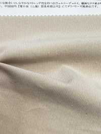 13167 21 Wel Corduroy Stretch[Fabrica Textil] SUNWELL Foto secundaria