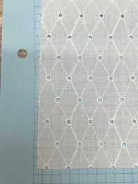 T26052-1 Puntilla Algodón AO Blanco Roto[Fabrica Textil] Kyowa Lace Foto secundaria