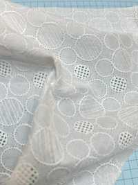 T26088-1 Puntilla Algodón AO Blanco Roto[Fabrica Textil] Kyowa Lace Foto secundaria