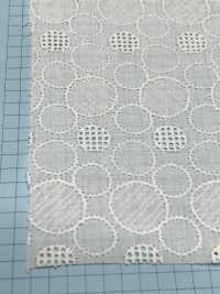 T26088-1 Puntilla Algodón AO Blanco Roto[Fabrica Textil] Kyowa Lace Foto secundaria