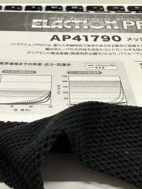AST31109 Poliéster Catión 2WAY Malla[Fabrica Textil] Estiramiento De Japón Foto secundaria