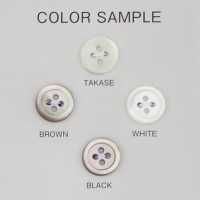 SHV8 Botón De Concha Con Borde Y 4 Agujeros DAIYA BUTTON(DAIYA BUTTON) Subfoto