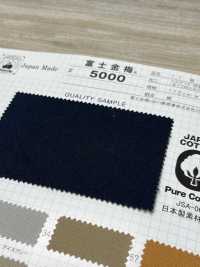 5000 Fujikinbai Kinume Cotton Canvas No. 11 Mercerizado / Procesamiento De Resina[Fabrica Textil] Ciruela Dorada Fuji Foto secundaria