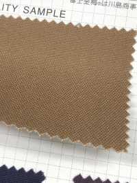 9100 Fuji Kinume Advanced Cotton Canvas No. 9 Paraffin Resin Processing[Fabrica Textil] Ciruela Dorada Fuji Foto secundaria
