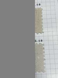K1420 Refinación De La Generación Oxford 10/8 De Algodón Fujikinbai[Fabrica Textil] Ciruela Dorada Fuji Foto secundaria