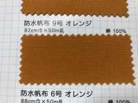 防水帆布9号 Waterproof Canvas No. 11[Fabrica Textil] Ciruela Dorada Fuji Foto secundaria
