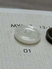 MY152 BOTONES DAIYA Botones De Poliéster Tipo Concha De Cuatro Conchas Con Borde[Botón] DAIYA BUTTON(DAIYA BUTTON) Subfoto