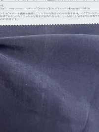 13293 Tencel (TM) Fibra Modal / Poliéster Gasa En Polvo[Fabrica Textil] SUNWELL Foto secundaria