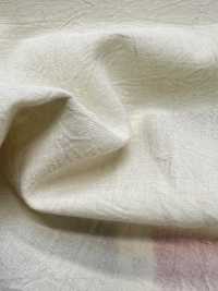 6801 Procesamiento De Lavadora De Mano Para Césped De 60 Hilos[Fabrica Textil] VANCET Subfoto