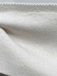 13683 Costilla Circular Llena De Grados 26 / 2BD[Fabrica Textil] SUNWELL Foto secundaria
