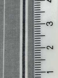 SBN007 Rayas Naturales Orgánicas Lavadas Y Arrugadas[Fabrica Textil] SHIBAYA Subfoto