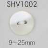SHV1002 Botón de concha de dos agujeros