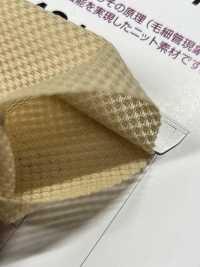 T431 Material Tejido TORAY Field Sensor® Para Ropa Interior[Fabrica Textil] Tamurakoma Foto secundaria