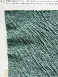 14613 Cordot Organics (R) Tejido De Doble Cara[Fabrica Textil] SUNWELL Foto secundaria