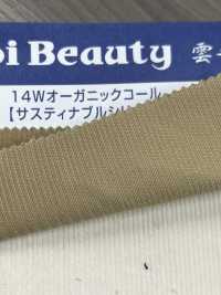 OG2180 14W Algodón/pana Orgánica[Fabrica Textil] Kumoi Beauty (Pana De Terciopelo Chubu) Foto secundaria