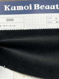 2050 Pana Verano 14W[Fabrica Textil] Kumoi Beauty (Pana De Terciopelo Chubu) Foto secundaria