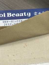 OG7080 Pantalón Pana Orgánica 9W[Fabrica Textil] Kumoi Beauty (Pana De Terciopelo Chubu) Foto secundaria