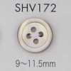 SHV172 Botón de concha con borde de 4 agujeros