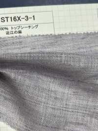 ST16X-3-1 100% Lino Loomstate Ohmi Lino[Fabrica Textil] Kumoi Beauty (Pana De Terciopelo Chubu) Foto secundaria