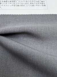 VI60006 TRIXION® BÁSICO[Fabrica Textil] Matsubara Subfoto