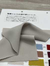 ZS346-8420 PUNTO DOBLE TRENZADO DURO[Fabrica Textil] Matsubara Foto secundaria