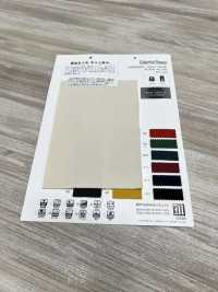 WD8008 Polar Colorido[Fabrica Textil] Matsubara Foto secundaria