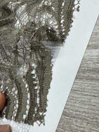 KKF8575-D4 Cordón Escalar Ny/Ry De Oreja única[Fabrica Textil] Uni Textile(Estudio Komon) Subfoto