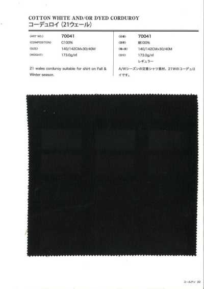 70041 Pana 21W