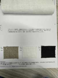 OA322041 Sarga Pesada N.º 8 De Lino Semihúmedo[Fabrica Textil] Oharayaseni Foto secundaria