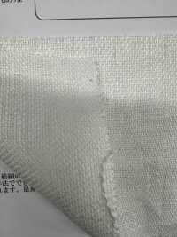 OA322042 Sarga Pesada N.º 8 De Lino Semihúmedo[Fabrica Textil] Oharayaseni Foto secundaria