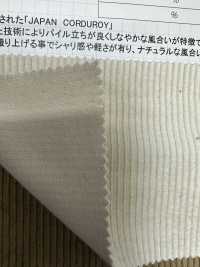 CF7000 Pana 9W C/F (Lino)[outlet][Fabrica Textil] Kumoi Beauty (Pana De Terciopelo Chubu) Foto secundaria