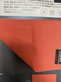 3-67341 Schoeller-dinámico[Fabrica Textil] Takisada Nagoya Foto secundaria